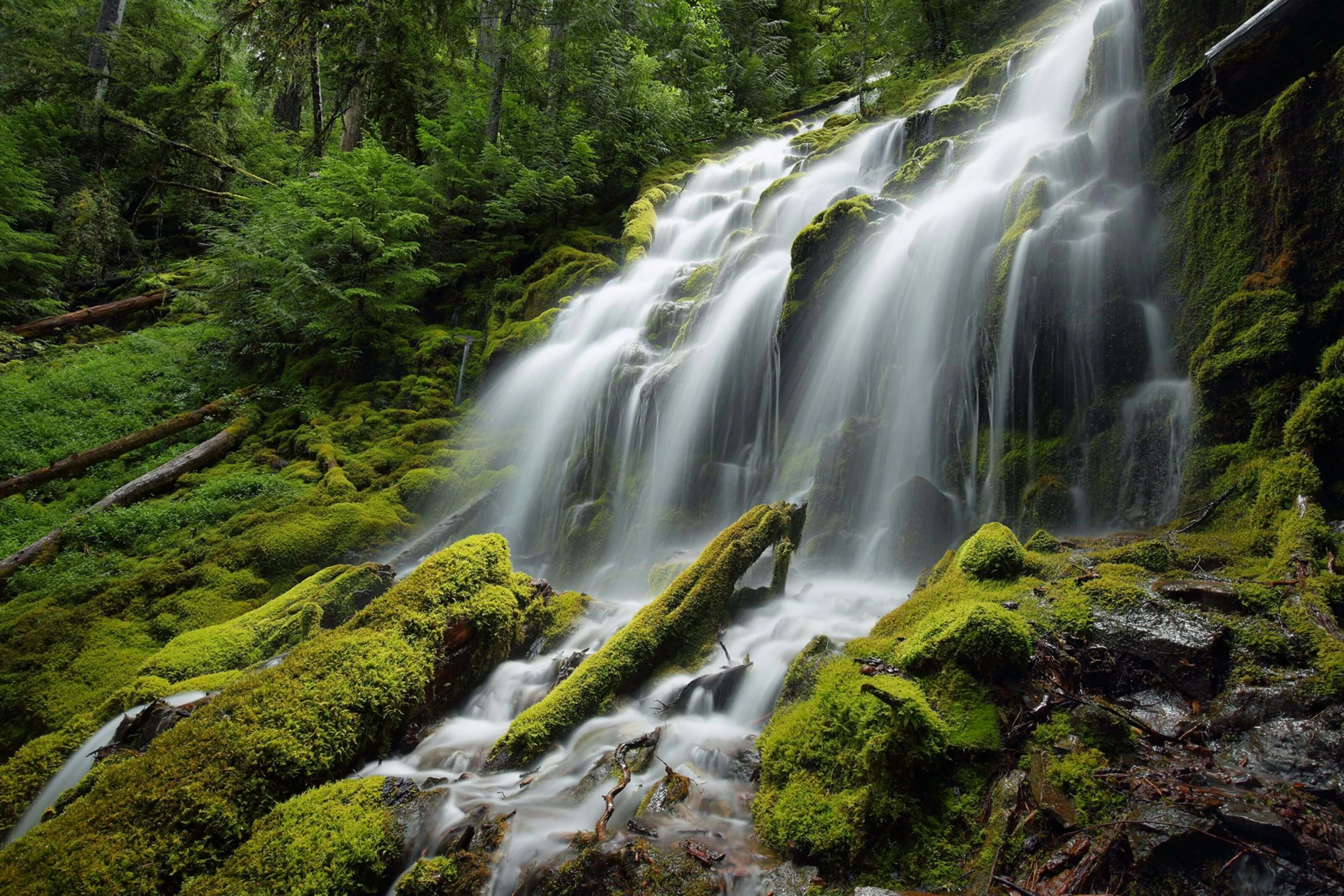 forest-waterfall