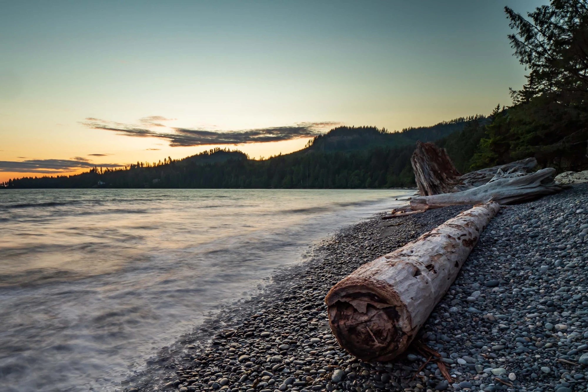 lake-shore-line-with-tree-log