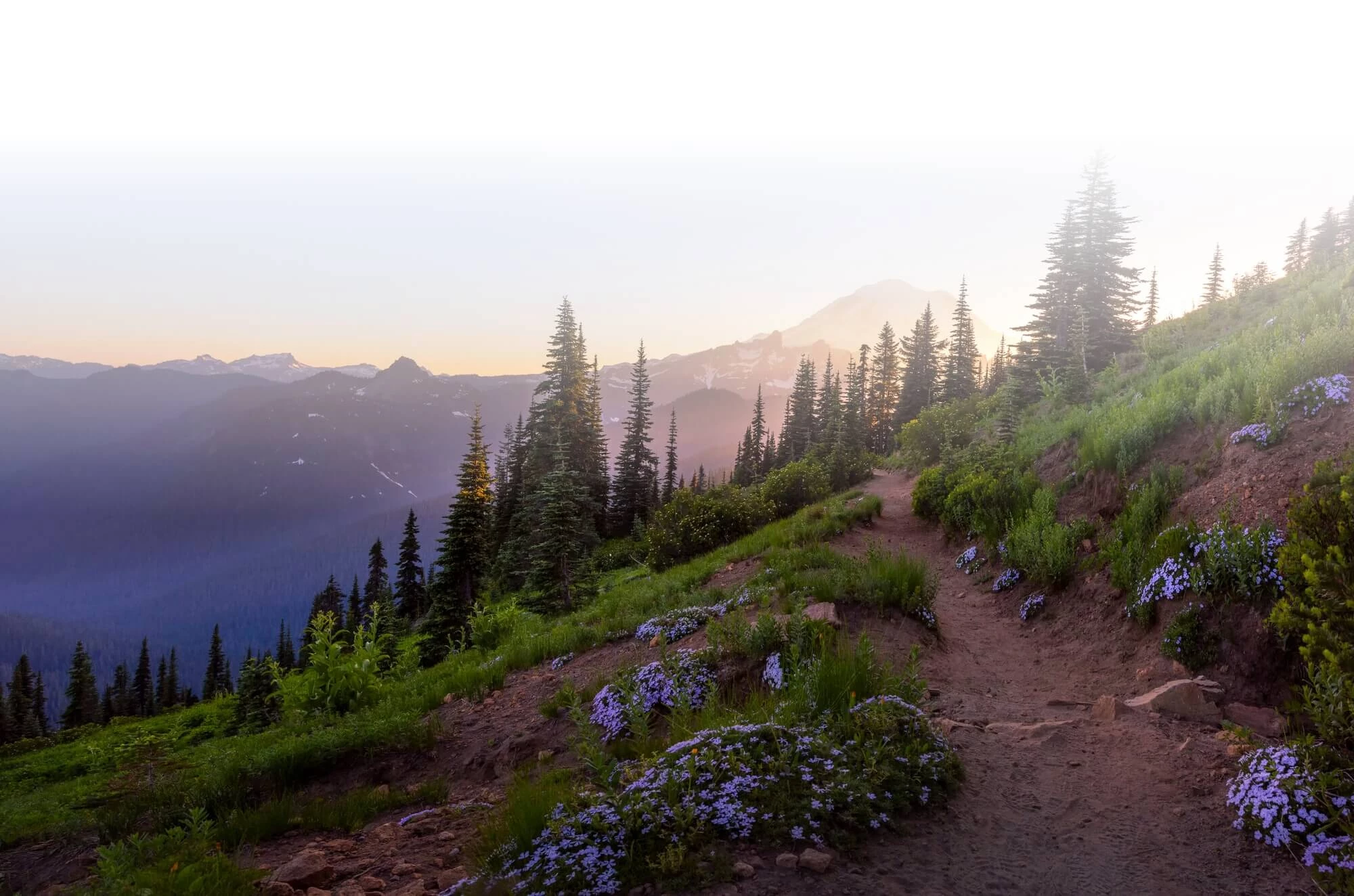 Flexible benefits - Resources Background-faded