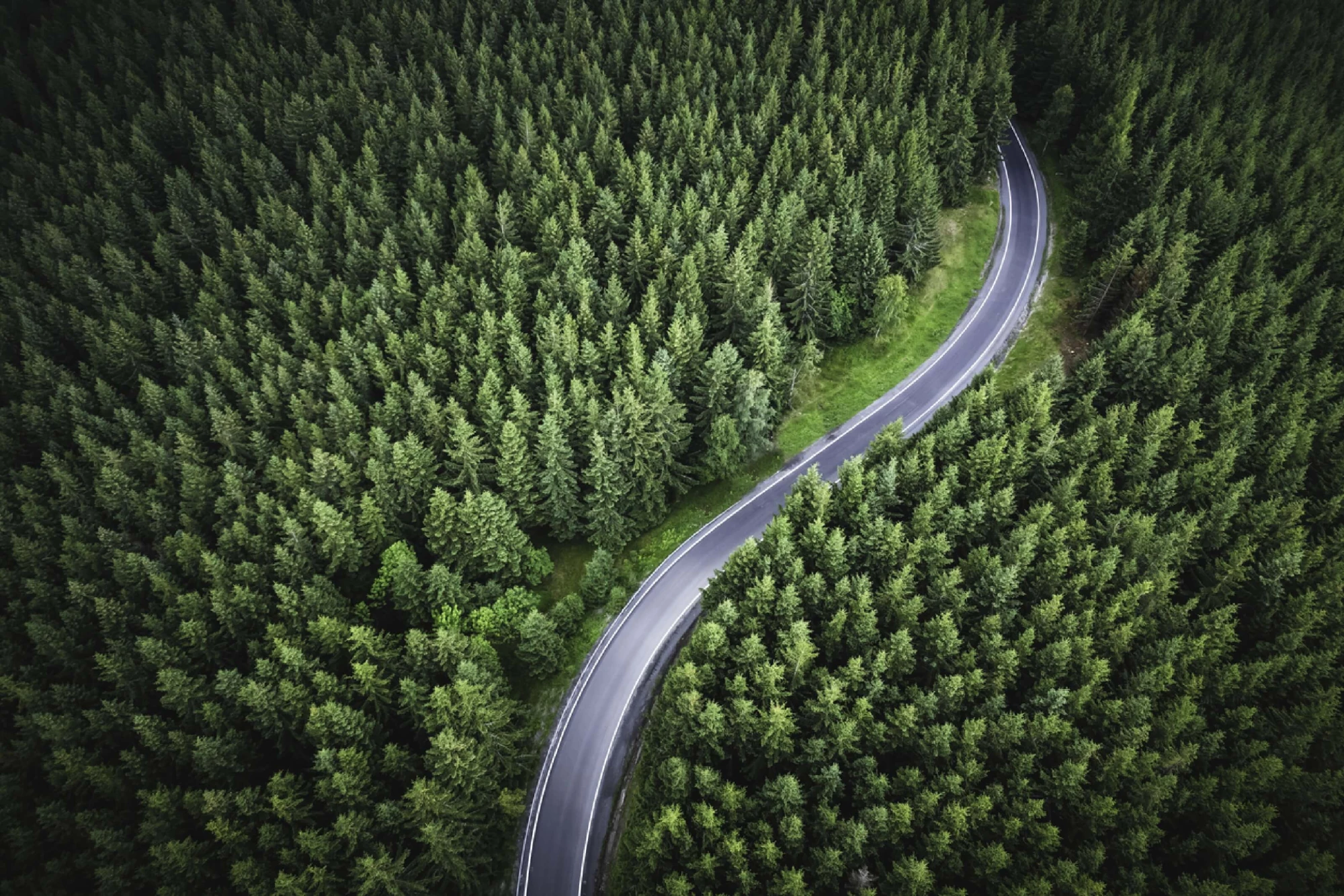 iStock-1330597560